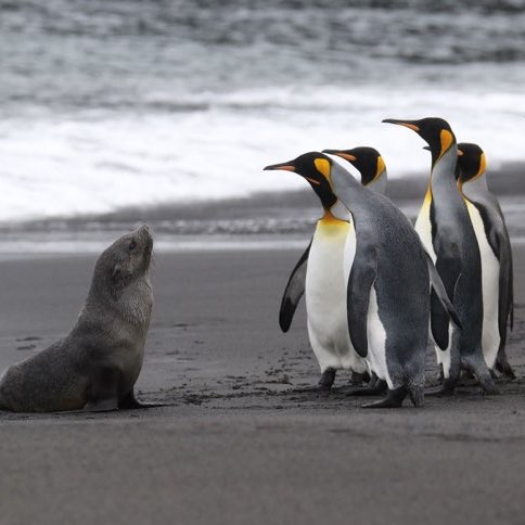 placeholder image sq