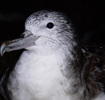 placeholder image sq