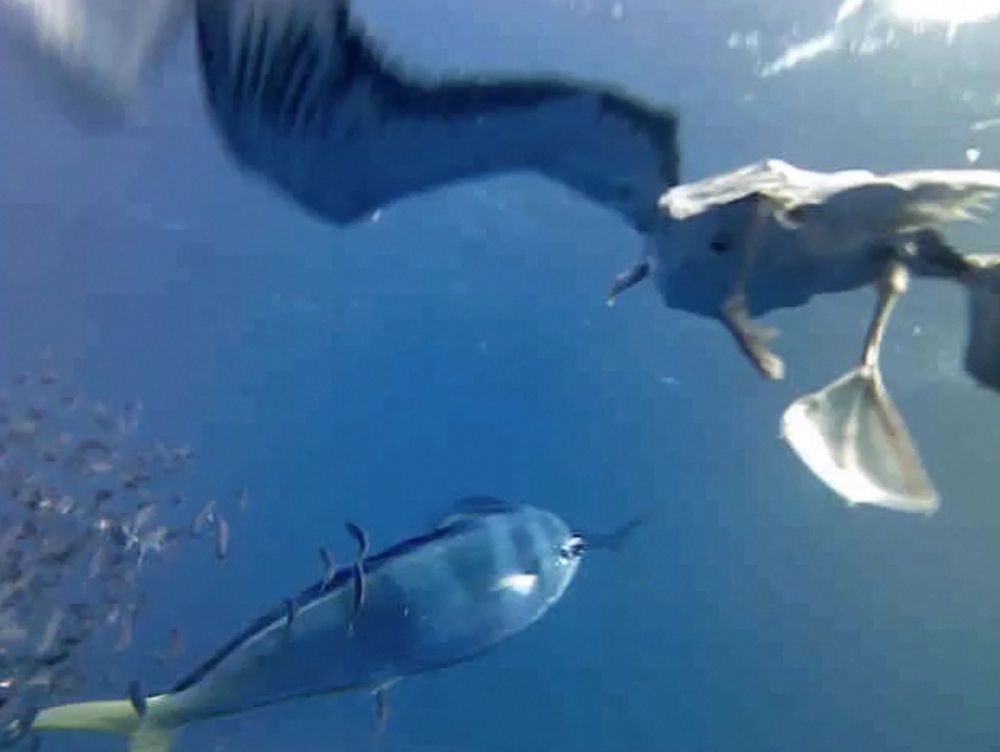 placeholder image sq